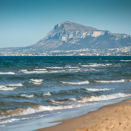 Clavel By Nova Oliva