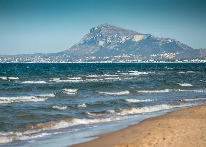 Clavel By Nova Oliva