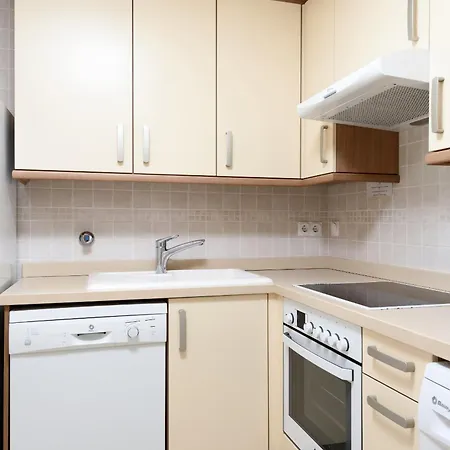 Clavel By Nova * Oliva