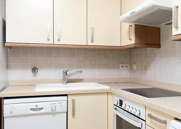 Clavel By Nova * Oliva