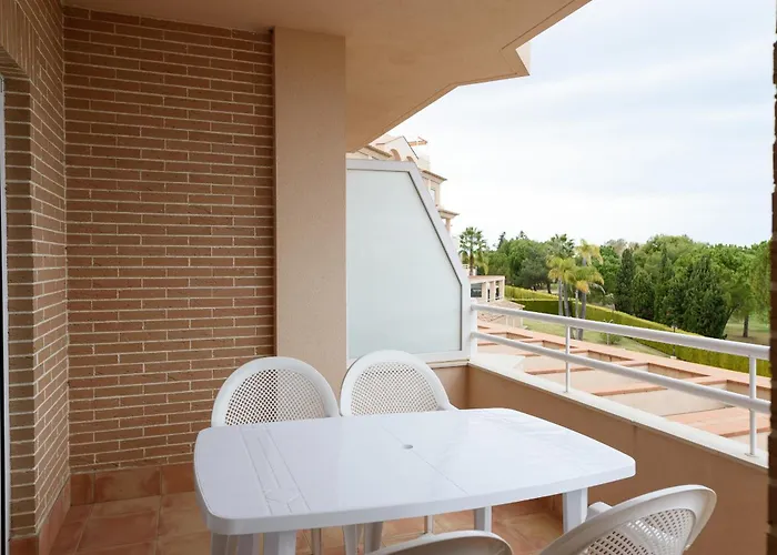 Clavel By Nova Oliva